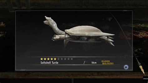 softshell turtle yakuza 0.